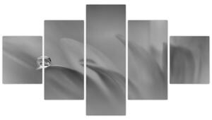 Obraz - Kropla na kwiecie, czarno - biały (125x70 cm)