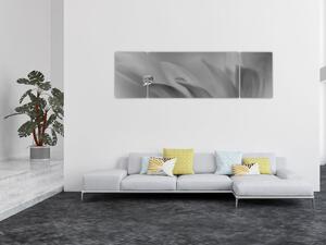Obraz - Kropla na kwiecie, czarno - biały (170x50 cm)