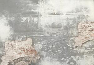 Fototapeta - Łąka w betonowej ścianie - czarno - biała (196x136 cm)