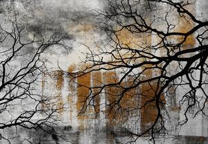 Fototapeta - Drzewo w betonie (196x136 cm)