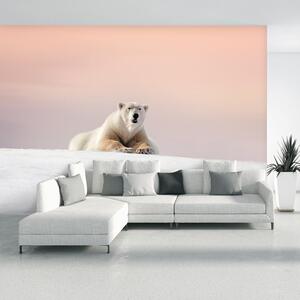 Fototapeta - Niedźwiedź polarny (196x136 cm)
