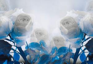 Fototapeta - Białe róże (196x136 cm)