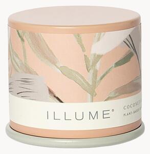 Świeca zapachowa Vanity Tin (kokos, mango & tahitańska wanilia)