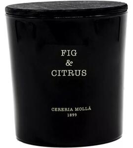 Świeca zapachowa CERERIA MOLLA Fig and Citrus 600 g