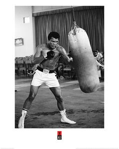 Druk artystyczny Muhammad Ali - Punch Bag, (60 x 80 cm)