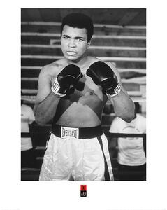 Druk artystyczny Muhammad Ali - Pose