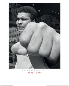 Druk artystyczny Muhammad Ali Commemorative - Punch, (60 x 80 cm)