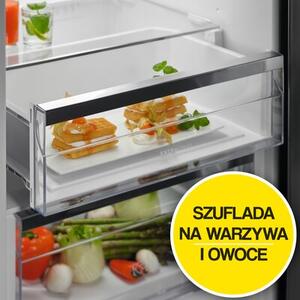 Lodówka ELECTROLUX LRC5ME38X2 186cm Srebrna
