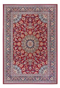 Czerwony dywan odpowiedni na zewnątrz 80x165 cm Kadi – Hanse Home