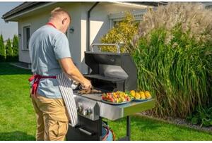 Grill ogrodowy gazowy DEDRA Batory 900 NG0900 12kW 62.5 × 42 cm