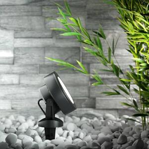 Fumagalli Reflektor z grotem Tommy czarny 1-pkt. 10W CCT