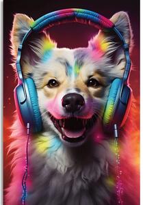 Obraz pies ze słuchawkami