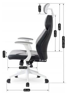 KrzesÅo Obrotowe Biurowe Fotel Ergonomiczny Obrotowy Szary BiaÅy DUNCAN
