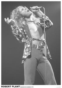 Plakat, Obraz Led Zeppelin - Robert Plant March 1975 colour
