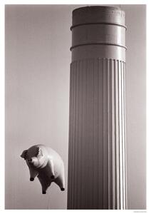 Plakat, Obraz Pink Floyd - Animals Inflatable pig 1976