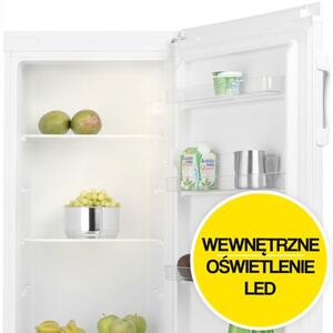 Lodówka PHILCO PTL 2352 142cm Biała