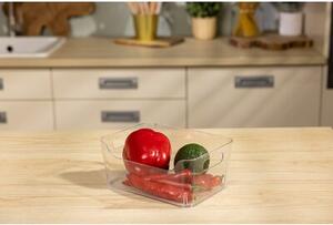 Organizer do lodówki EASYFORM Clear 5 L