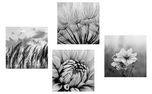 Zestaw obrazów czarno-biała łąka z kwiatami