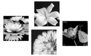 Zestaw obrazów kwiaty z motylem w czerni i bieli