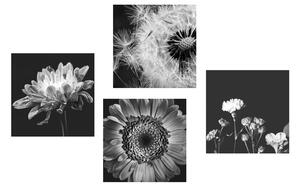 Zestaw obrazów czarno-białe delikatne kwiaty