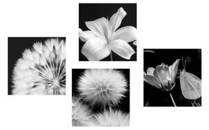 Zestaw obrazów czarno-białe piękno kwiatów z motylem