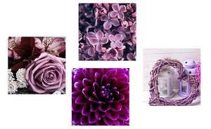 Zestaw obrazów fioletowe kwiaty z sercem