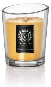 Świeca zapachowa Vellutier Tropical Voyage