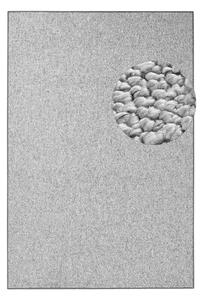 Szary dywan 60x90 cm Wolly – BT Carpet