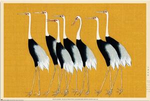 Plakat, Obraz Ogata Korin - Flock of Beatiful Japanese Red Crown Crane, (91.5 x 61 cm)