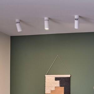 Paulmann Lampa sufitowa LED Turnal Coin, biała, metalowa, 2700 K możliwość ściemniania, biały / opal, salon / jadalnia, metal, nowoczesny