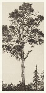 Reprodukcja The Little Pitch Pine, Ernest Haskel