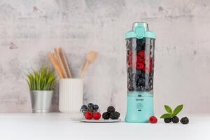 Blender personalny SPONGE SPONBLM01 Bezprzewodowy