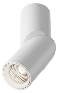 DAFNE LED 10W 4000K tuba biała łamana regulowana natynkowa