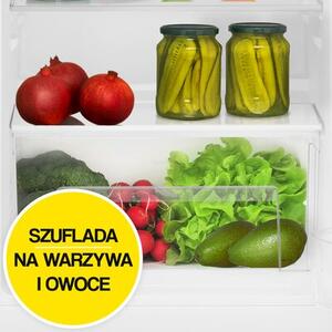 Lodówka AMICA FM135.4 82.1cm Biała