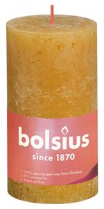 Bolsius Rustykalne świece pieńkowe Shine, 4 szt., 130x68 mm, miodowe