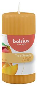 Bolsius Zapachowe świece pieńkowe, prążki, 6 szt., 120x58 mm, mango