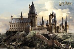 Plakat, Obraz Harry Potter - Hogwarts, (120 x 80 cm)