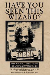 Plakat, Obraz Harry Potter - Wanted Sirius Black