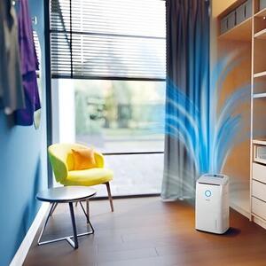 Osuszacz powietrza PHILIPS DE5305/11