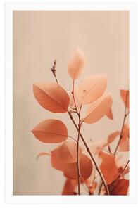 Plakat gałązki liści Peach Fuzz