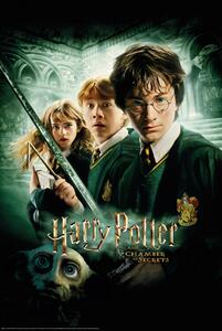 Plakat, Obraz Harry Potter - Secret of Chambers