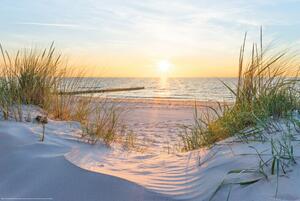 Plakat, Obraz Tropical Beach - Sunset