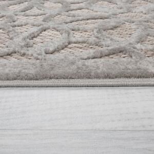Szary dywan odpowiedni na zewnątrz 230x160 cm Argento – Flair Rugs