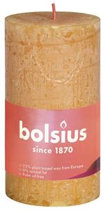 Bolsius Rustykalne świece pieńkowe Shine, 8 szt., 100x50 mm, miodowe