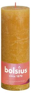 Bolsius Rustykalne świece pieńkowe Shine, 4 szt., 190x68 mm, miodowe