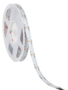 Taśma LED LCOB 5 metrów 21W/m RGB + zmienna barwa IP00 24V Kanlux