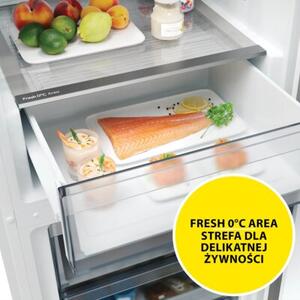 Lodówka CANDY CNCQ2T618AX Fresco 300 No Frost 185cm Inox klasa energetyczna A