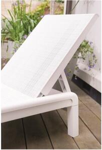 Leżak KETER Atlas Sunlounger 260547 Biały