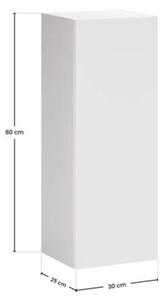 Szafka łazienkowa ASTER WHITE 1D 30cm biały mat