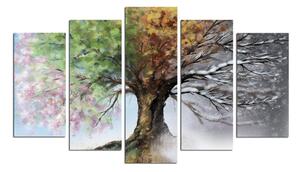 Obrazy zestaw 5 szt. 20x50 cm – Wallity